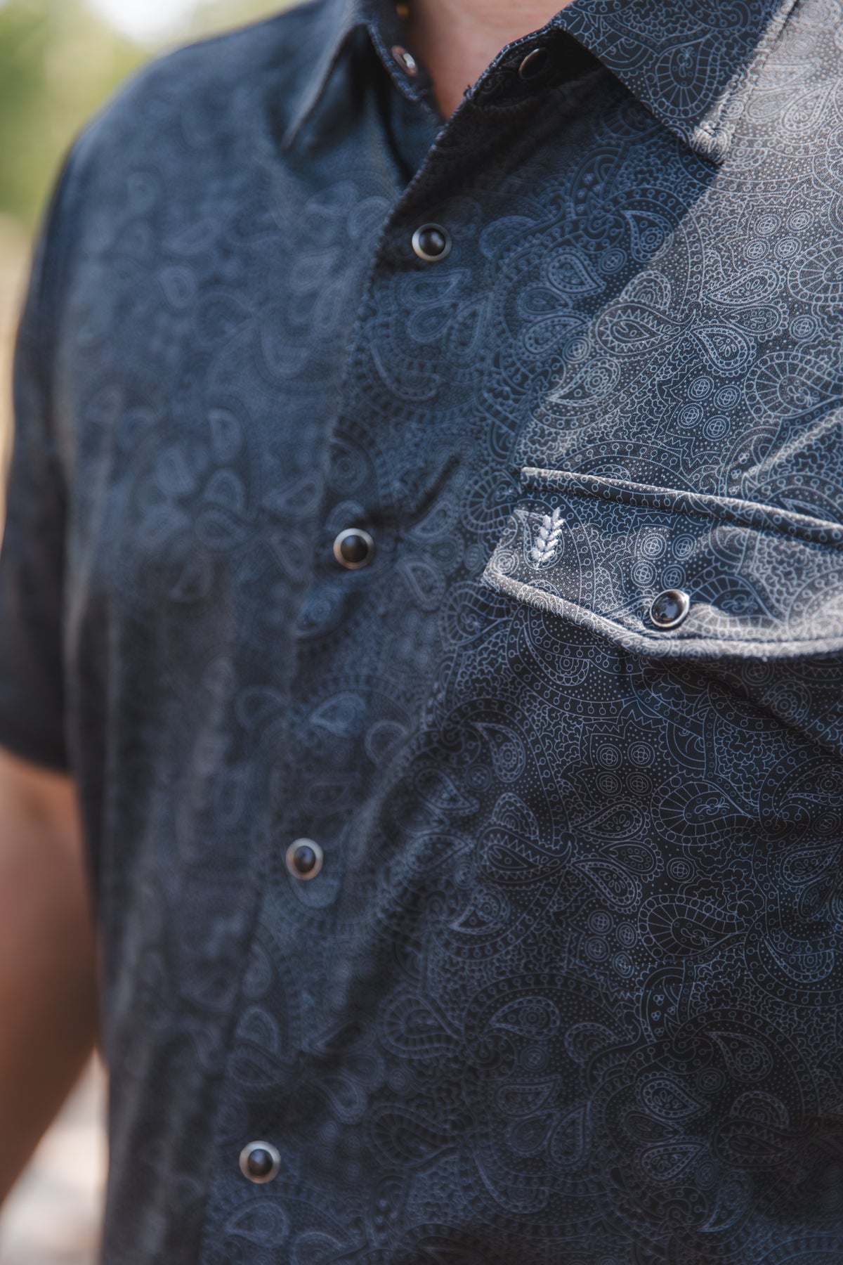 Chandler - Button Down