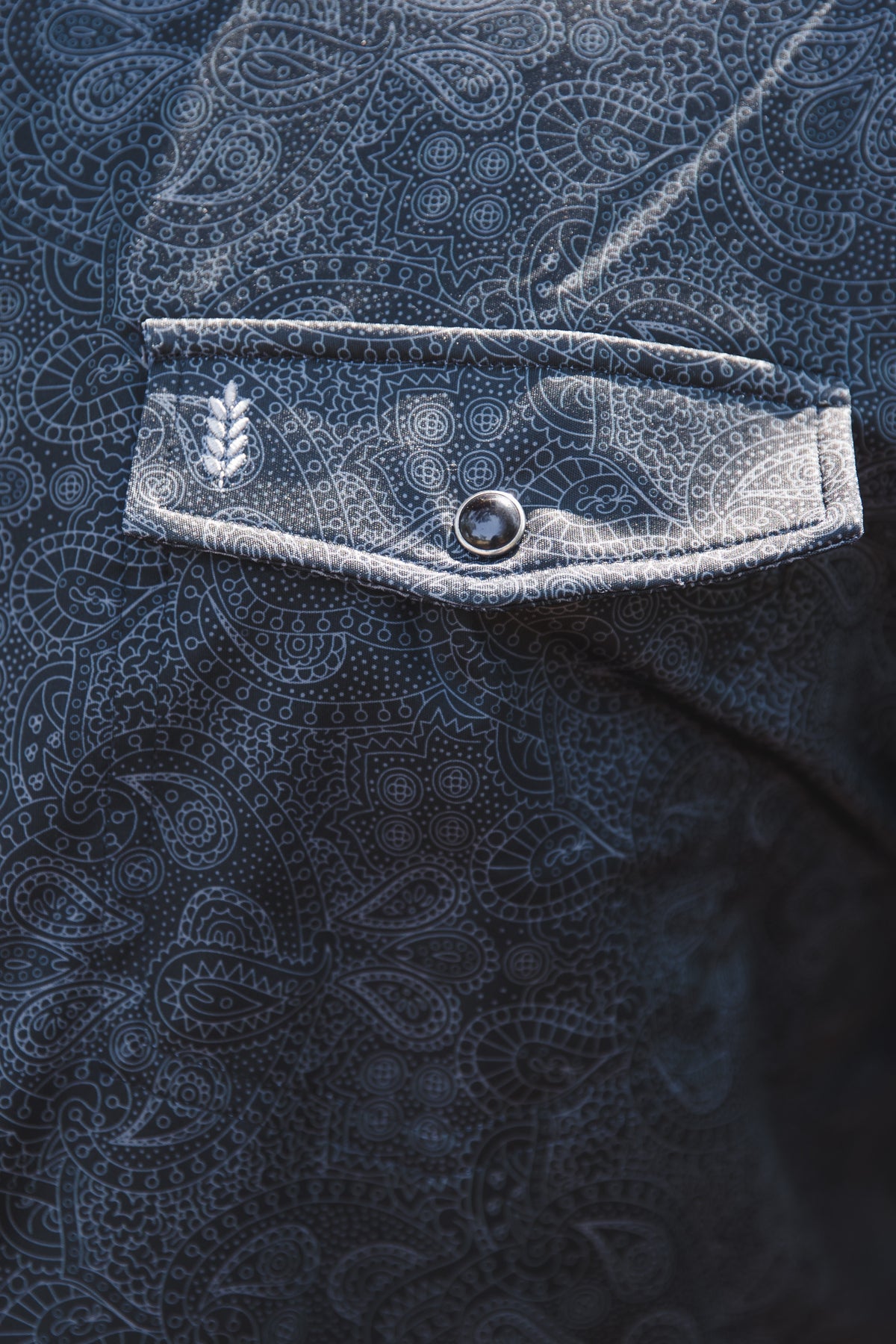 Chandler - Button Down