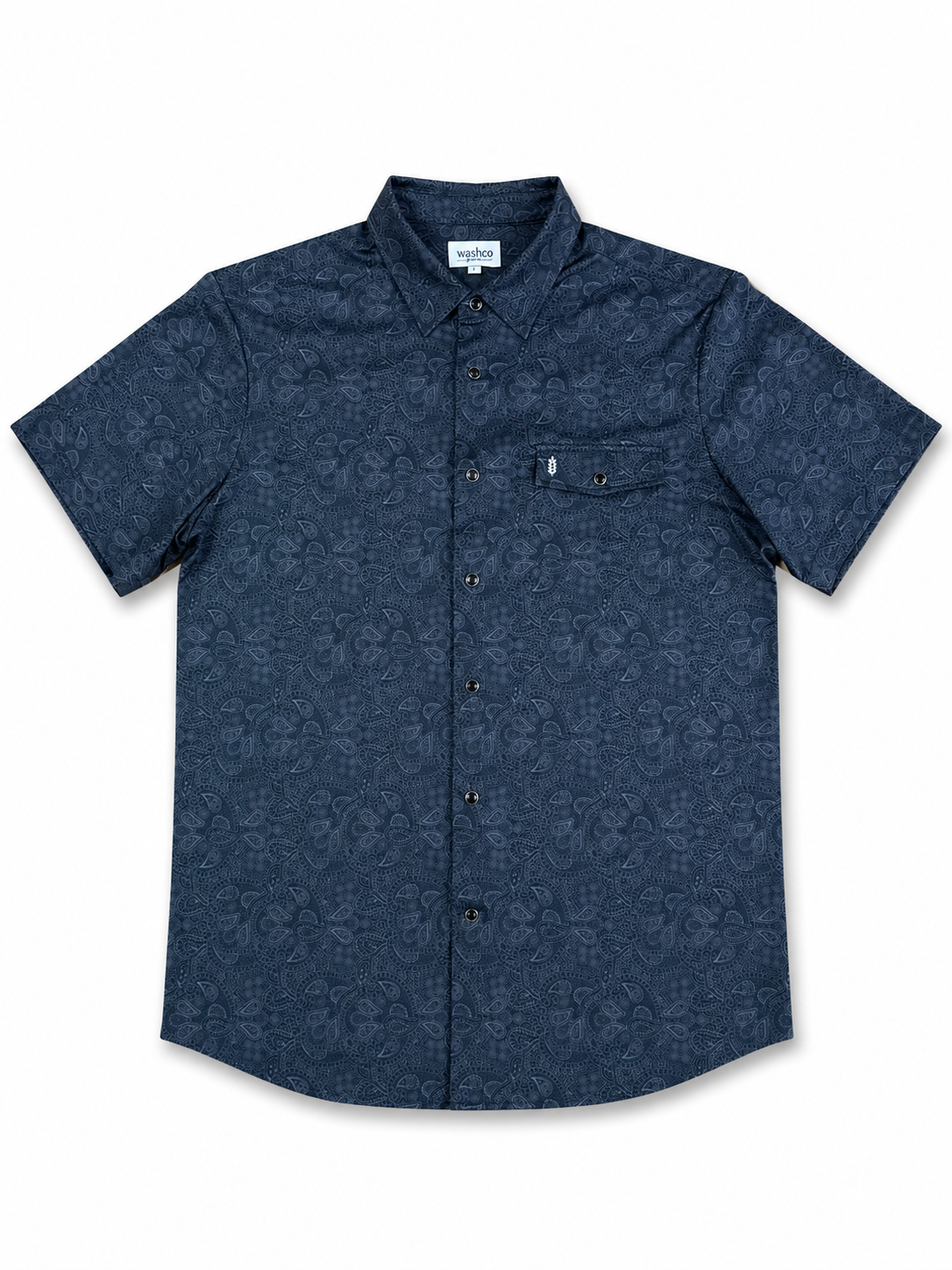 Chandler - Button Down